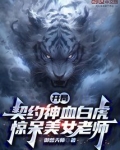 开局契约龙狐
