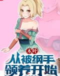 木叶：从被纲手领养开始