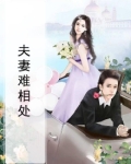 夫妻难相处