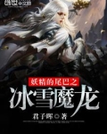 妖精的尾巴之冰龙传