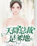 天降总裁神秘老公电视剧全集
