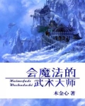 会魔法的武术大师