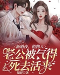 新婚当日植物人老公醒了