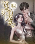 豪门契约：沈爷的宠妻