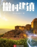 撤村建镇 小说