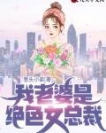 苏晨周晚秋的故事免费阅读