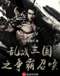 乱战三国之争霸召唤
