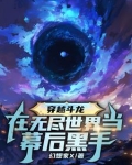 穿越斗龙在无尽世界当幕后黑手