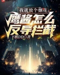 我就放个烟花，鹰酱怎么反导拦截