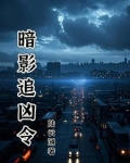 暗影追凶令
