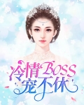 冷情boss请放手小说