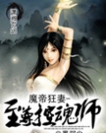 魔帝狂妻