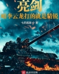 亮剑咱李云龙打的 小说