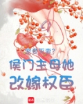宠妾灭妻？侯门主母她改嫁权臣