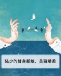 陆少的替身新娘，美丽娇柔