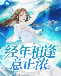 经年相逢意正浓小说