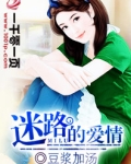 迷路的爱情