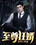 至尊狂婿叶阳