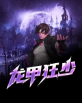 龙甲狂少