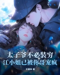 第一章太子爷丢了江酒