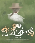 师傅,您还在吗