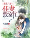 重生八零:佳妻致富忙