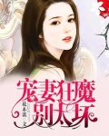 小说宠妻狂魔别太坏