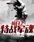 抗日之特战军魂免费阅读