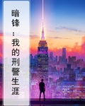 暗锋：我的刑警生涯