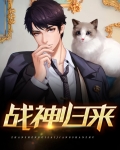 战神归来叶麟