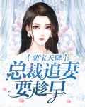 萌宝来袭总裁追妻套路深