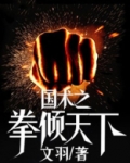 国术之拳倾天下