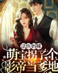 法医妈咪,萌宝拐了个影帝当爹地