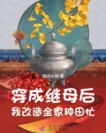 穿成后妈