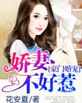 豪门婚宠：娇妻不好惹