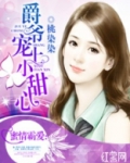 爵爷宠上小甜心夏沐