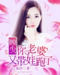 顾少,你老婆又带娃跑了小说
