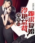 离婚后冷艳总裁跪求复婚叶可卿结局