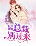 总裁的亿万新娘 小说