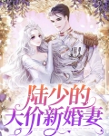 陆少的天价新婚妻