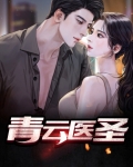 青云圣手