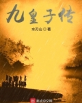 九皇子传