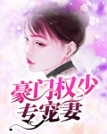 豪门权宠第一夫人TXT