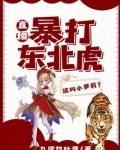 东北虎打斗视频