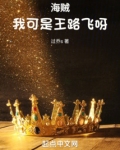 海贼:我可是王路飞呀 小说
