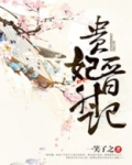 贵妃晋升记