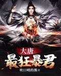 大唐至尊龙帝TXT下载