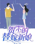 豪门甜宠:贺少的替嫁新娘小说