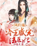 凤归巢：冷王盛宠法医妃