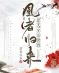 凰者归来逆天全系灵师小说